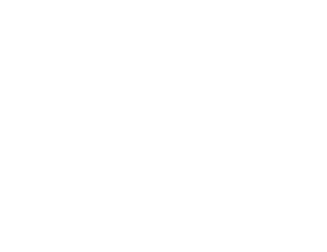 Mega